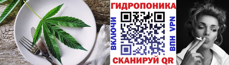 Купить где Карабулак Canna-Cookies конопля