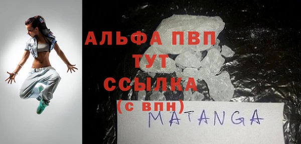 индика Вязники