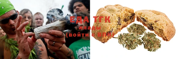 индика Вязники