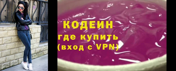 индика Вязники