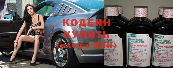 индика Вязники