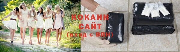 индика Вязники