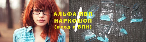 индика Вязники